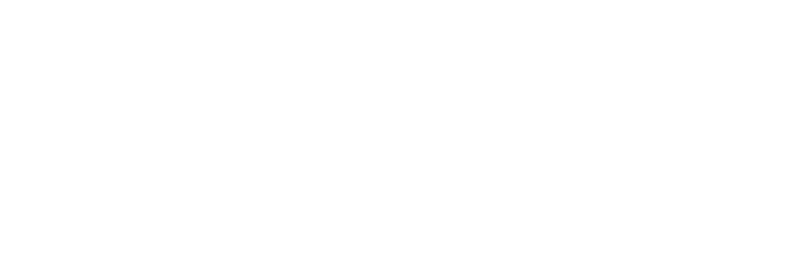 spinbet-pre-loader